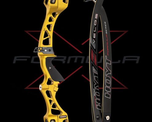 2019 Hoyt Archery New Release - Velos Recurve Bow in Gold