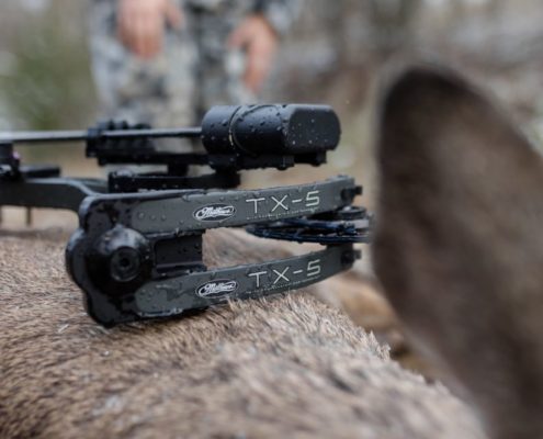 2019 Mathews TX-5 Hunting Bow Kill