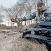 2019-Mathews-TX-5-AT-20181109-1351-620×360 2019 Mathews TX-5 Girl Hunter Hot