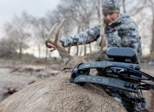 2019 Mathews TX-5 Girl Hunter Hot