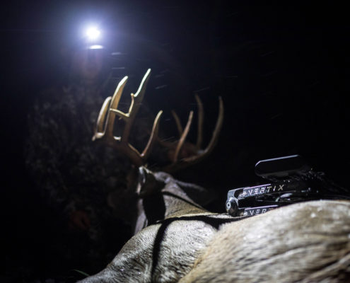 2019 Mathews Vertix Elk Hunting Photo