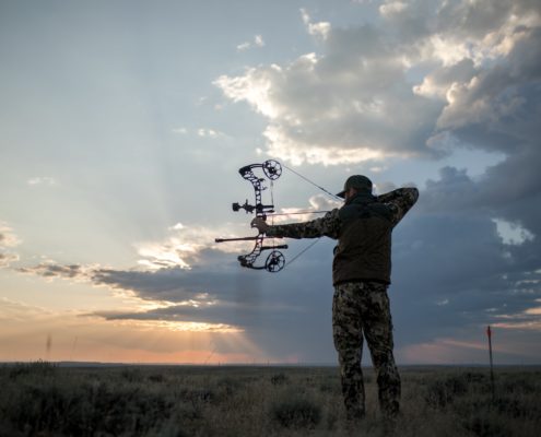 2019 Mathews Vertix Bow Hunter