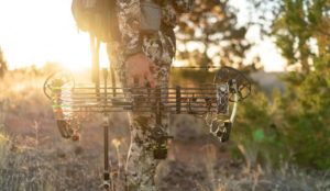 2019 Mathews Vertix Proving Ground