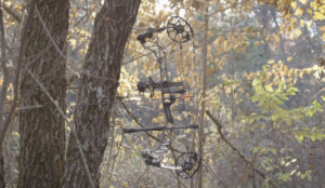 2019 Mathews Vertix Hunting Bow Hanging