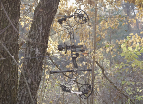2019 Mathews Vertix Hunting Bow Hanging