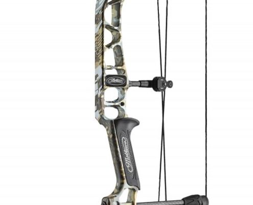 2019 Mathews Vertix Elevated II