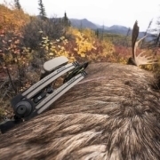 2023-mathews-bows-colorado 2023 Mathews Bows Colorado