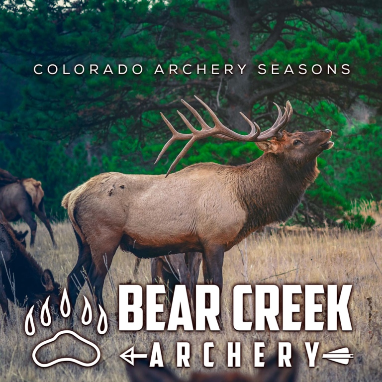 Bear Creek Archery The Best Archery Range & Shop in Denver
