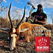 New-Darton-Archery-Bows New Darton Archery Bows