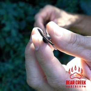 Toulou Broadheads Archery Hunting